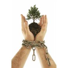 First Fruits Conference